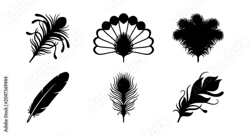 Fotografie Elegant Feather Silhouettes, Diverse Ornithological Plumage Icons, Black Vector