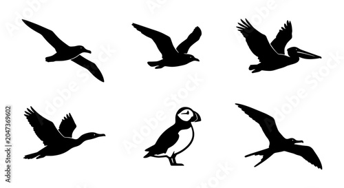 Tablou pe pânză Diverse Bird Silhouettes Collection: Flying Seabirds, Puffin, Pelican, Cormorant