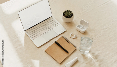 Minimalist home office workspace with laptop notebook and plant on desk