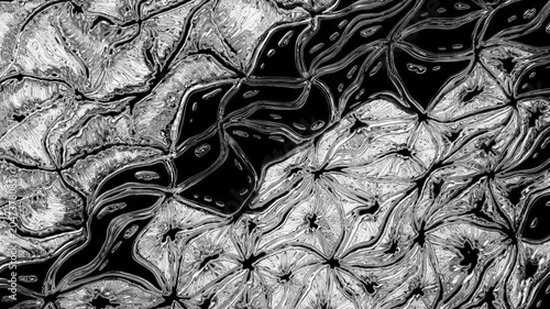 Abstract black and white organic pattern animation