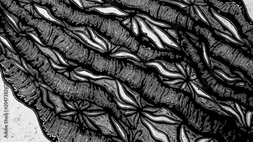 Black and white crystallization process forming abstract patterns