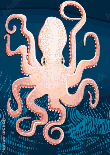 Fotografie Octopoda, cephalopod. Octopus in black deep seabed