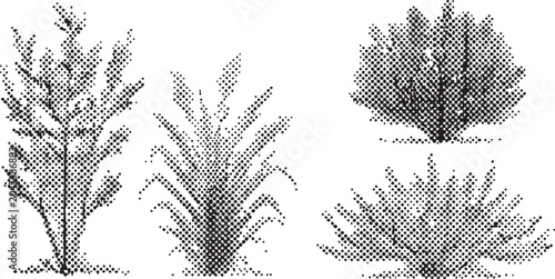 Billede på lærred Halftone plant vector illustration with four different bushy tree designs in bla