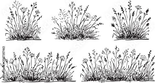 Obraz na płótnie Black and white vector illustration of various wildflower and grass clusters for