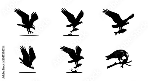 Tableau sur toile Eagle Hunting Sequence Vector Icons, Bird of Prey Catching Fish, Wildlife Action