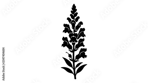 Картината върху платно Black silhouette of a snapdragon flower on white background