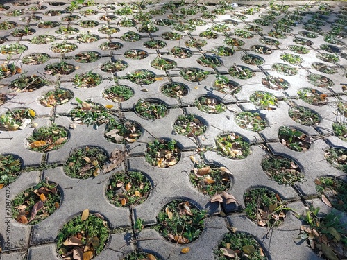 Foto Top view of circular holes concrete grass pavers for grass growth and allowing w