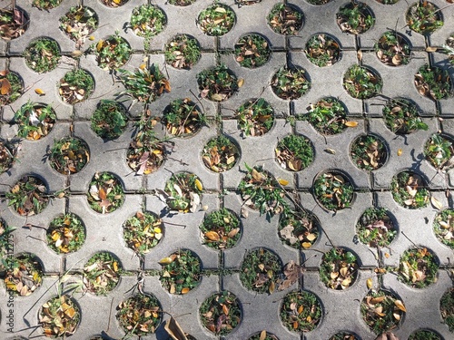 Cuadro en lienzo Top view of circular holes concrete grass pavers for grass growth and allowing water infiltration for eco-friendly parking lot and walkways