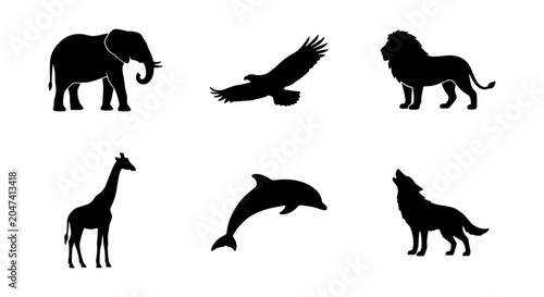 Photography Wild Animal Silhouettes Collection: Elephant, Lion, Eagle, Giraffe, Dolphin, Wol