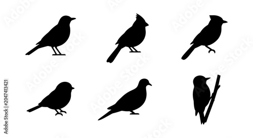 Fotografie Diverse Bird Silhouettes Collection, Avian Wildlife Icons, Feathered Creature Ve