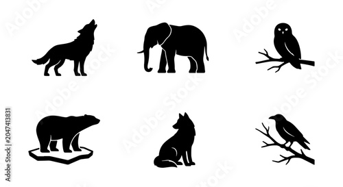 Photography Silhouette Animal Icons Set: Wolf, Elephant, Owl, Bear, Fox, Raven, Wildlife Gra