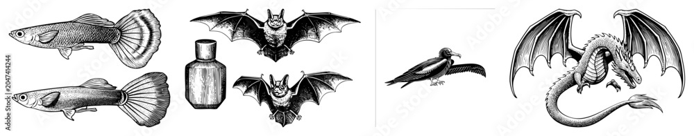 Obraz premium Detailed etching set featuring a flying dragon, spooky bats, a dark raven, and small guppy fish. This collection includes a mystical wyrm, winged creatures, and a tiny potion bottle.