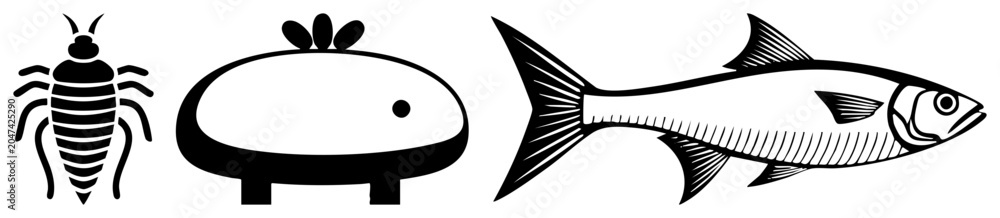 Obraz premium This trio includes a segmented bug, a stout cetacean, and a sleek creature. This set showcases a creepy crawly, a sea mammal, and a marine swimmer in high contrast.