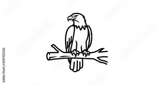 Eagle Perched on a Branch Alone.