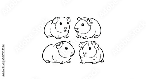 Four Cute Guinea Pigs Together.