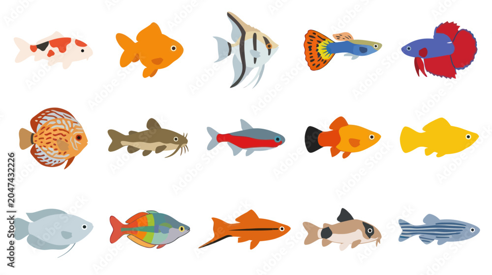 Obraz premium Flat Style Vector Illustration of Various Aquarium Fish Species, Isolated on White
