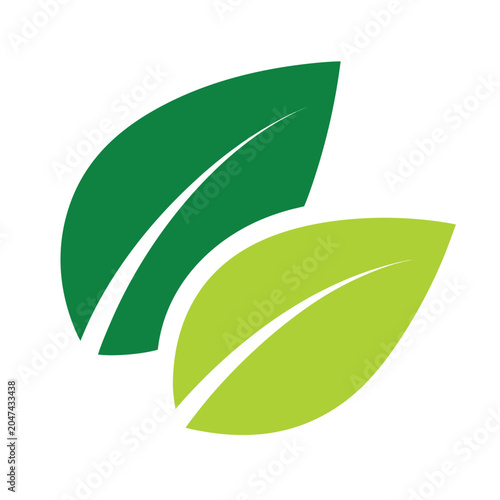 green leaf vector illustration