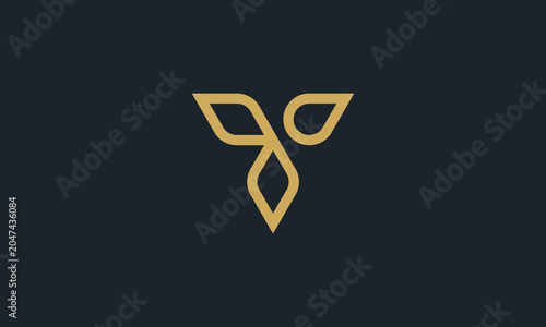letter V Logo line luxury