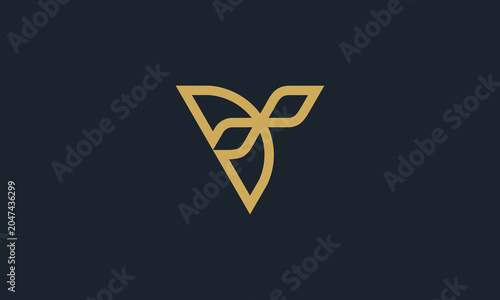 letter V Logo line luxury