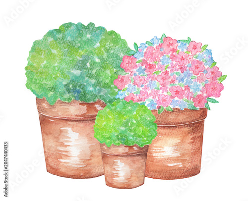 鉢植えの水彩イラスト　お花　グリーン