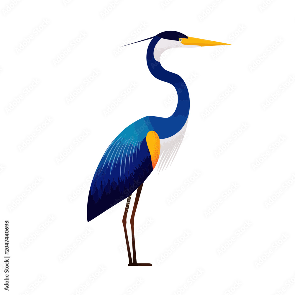 Obraz premium Blue Heron Bird Illustration Isolated