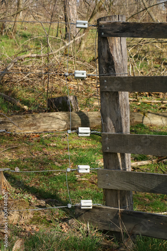 Weiße Isolatoren an einem Weidezaun am Holzgatter