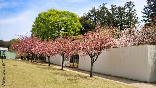 Kanazawama, Japan