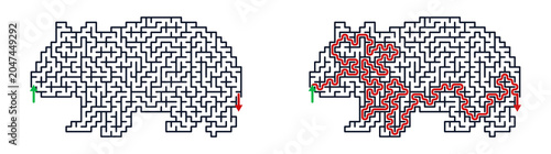 Maze illustration featuring a wombat with solution path shown  