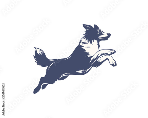 Jumping Border Collie vector illustration. Suitable for logos, branding, sports teams, stickers, apparel, and print design
