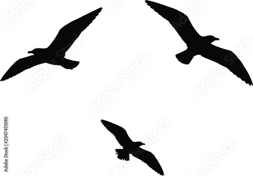 Quadro su tela Flying seagull silhouettes vector collection featuring birds soaring gliding spr