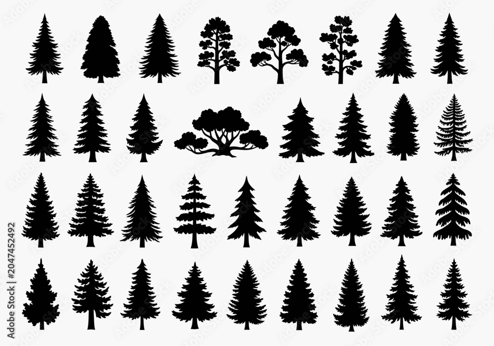 Fototapeta premium Pine tree silhouettes collection set on transparent background