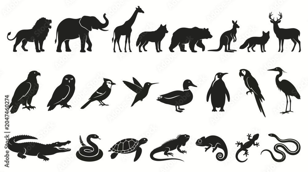 Obraz premium Silhouette Collection of Diverse Wildlife Animals, Including Mammals, Birds, and Reptiles