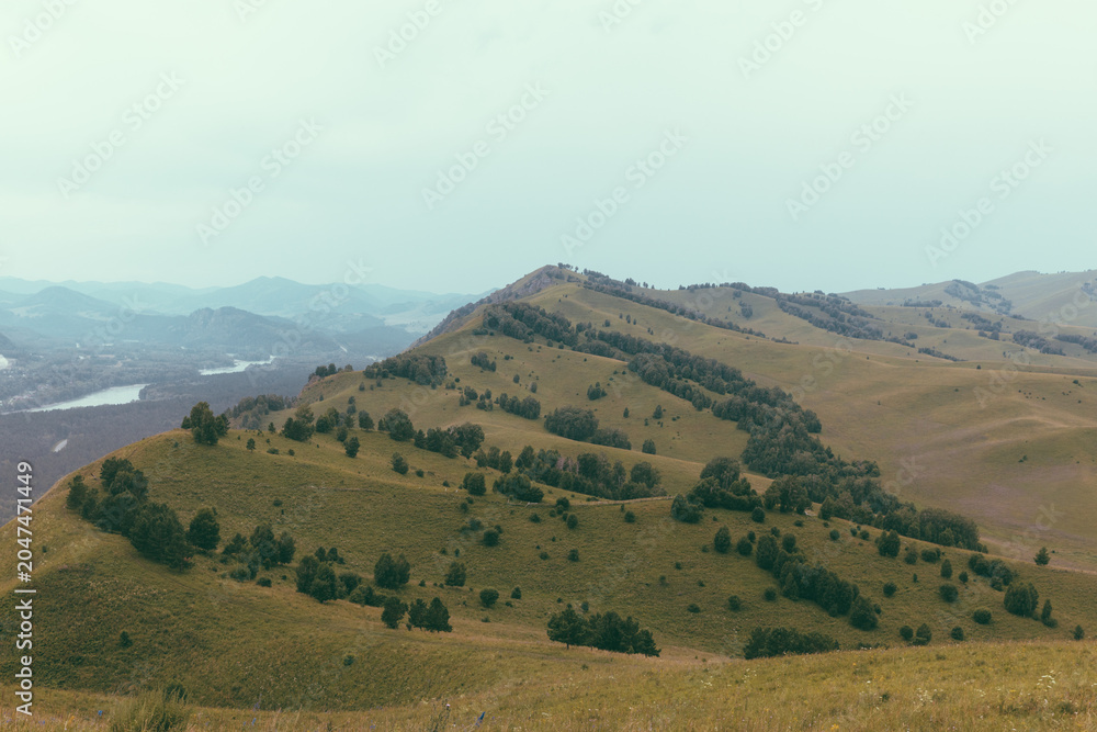 Obraz premium Wide scenic view of Devil's Finger Mountain ridge with rolling grassy hills, scattered trees and distant valleys under cloudy sky in Altai Republic, Russia
