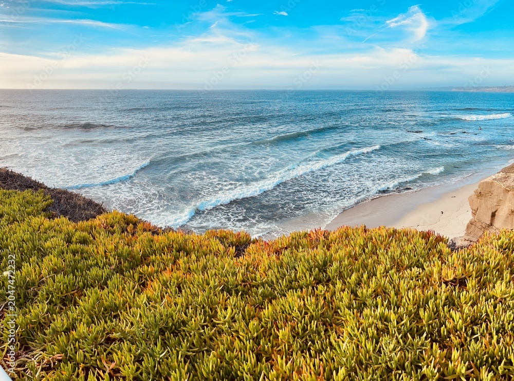 Αυτοκόλλητο A view of an incoming ocean swell crashing against coastal bluffs covered in vibrant ice plants in La Jolla, California