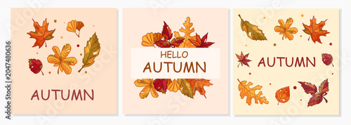 Autumn banner set with colorful fall leaves and seasonal typography
