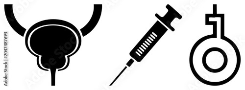 This clinical set the female reproductive system, a medical syringe, and a gynecological instrument. These black glyphs provide clear anatomical and procedural.