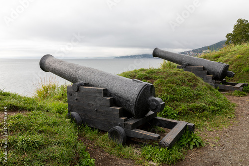 Quadro em tela Two old iron cannons on wooden carriages stand on a grassy coastal hill above Av