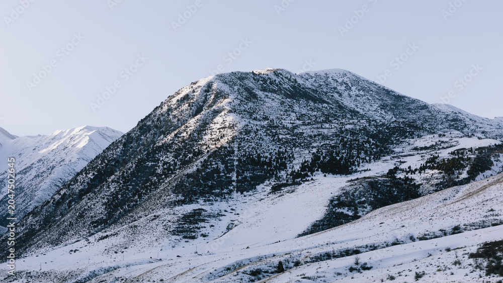 Fototapeta premium Snow-covered mountain ridge and scattered conifer forest in Chunkurchak Valley, Chuy Region, Kyrgyzstan, clear winter day with calm wilderness scenery