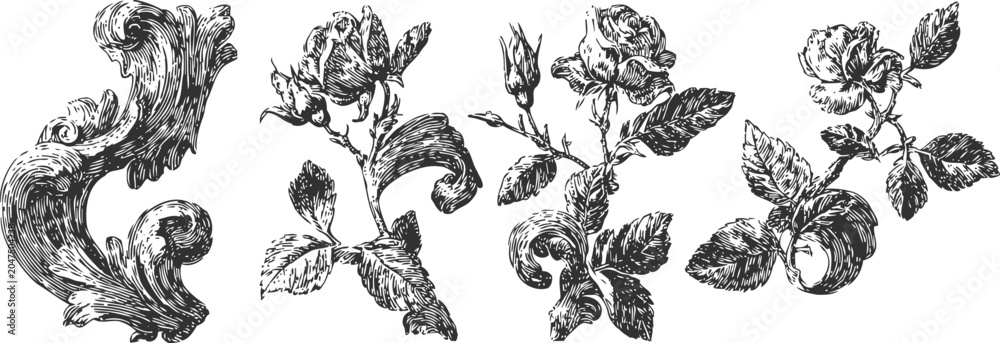 Fototapeta premium vintage floral engraving set hand drawn rose flowers and ornamental baroque swirl elements