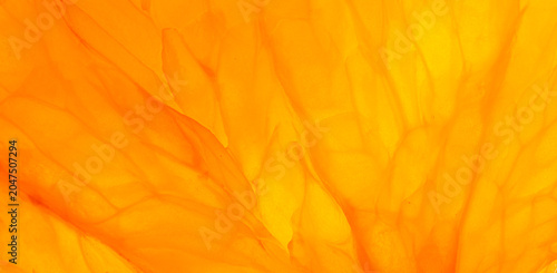 Photos Macro Close-up Texture of Fresh Juicy Orange Pulp,A detailed macro close-up photograph showcasing the intricate and vibrant texture of fresh orange pulp, highlighting the natural juicy segments