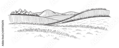 Hand drawn of rolling hills and fields with trees landscape nature