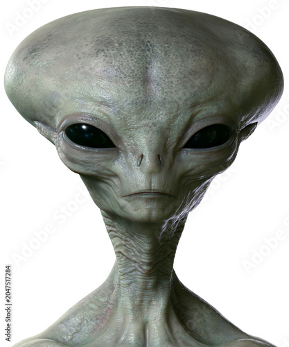 фотографія Grey alien head with large black eyes detailed skin texture, isolated on transpa