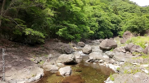 山から流れる清流と深い森が広がる美しい自然風景のドローン素材