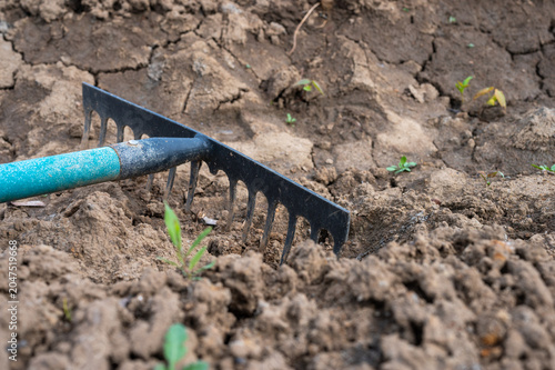 Foto Garden rake on cracked dry soil during drought, agriculture and land degradation concept, barren earth texture and climate change impact