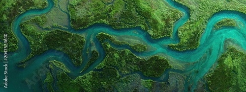 Aerial panoramic texture of river delta branching through lush wetlands, natural abstract patterns, environmental conservation concept, vivid emerald