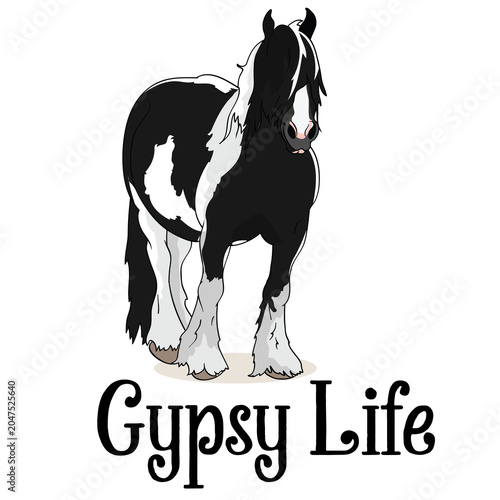 Photos Gypsy Life