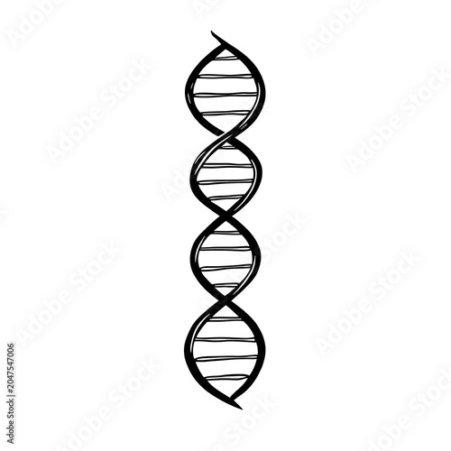 Dna helix isolated on white background
