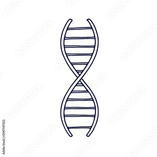 Dna helix isolated on white background