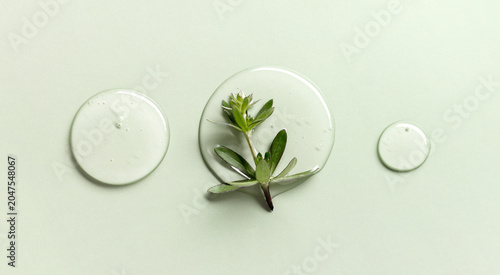 Foto Clear gel texture with herbal elements on soft green background