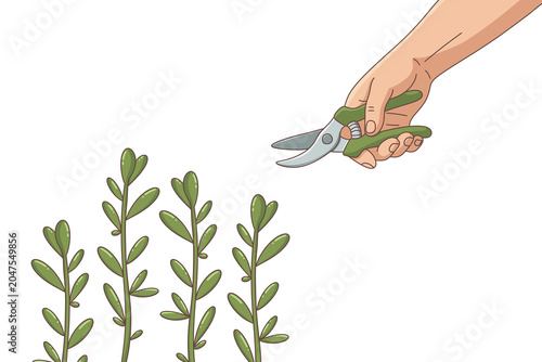 Fotografía Human hand pruning green plant stems with garden secateurs png